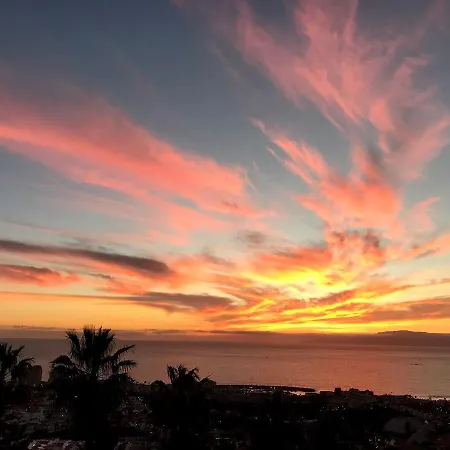 فيلة Premium Family 